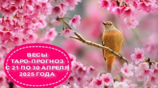 ВЕСЫ ТАРО-ПРОГНОЗ С 21 ПО 30 АПРЕЛЯ 2025 ГОДА