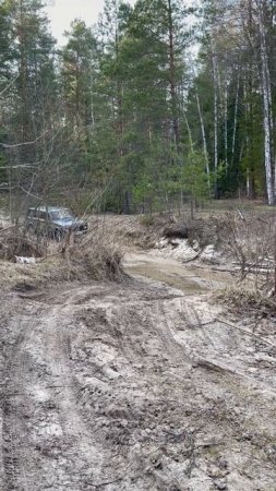 По дороге на Серафимовы камни