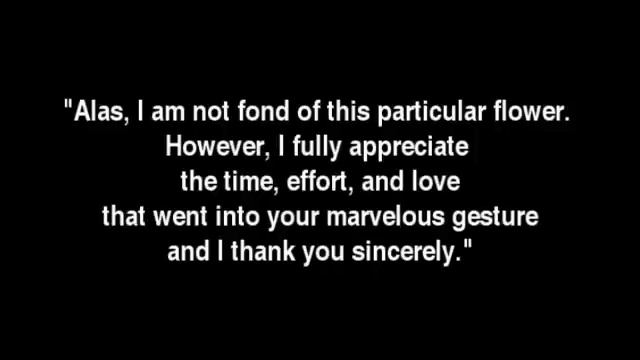 A Note From Hydrangeas To Madonna смотреть онлайн