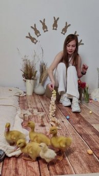 Пасха 🐤✨🐥