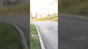 Охота на бабуинов 1 сезон все серии сборник