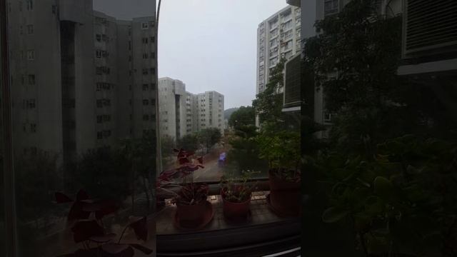 Grace Len TV is live Silent LS Cold Weather HK смотреть онлайн