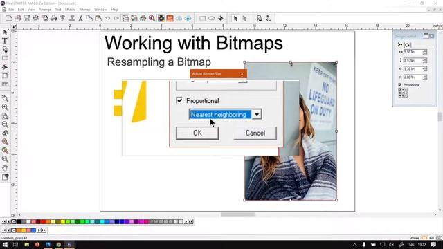 SAi FlexiSTARTER 19 Resampling the Bitmap (Part 2) Working with Bitmaps Mini-Series