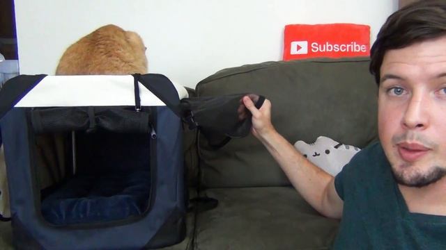 The Best Cat Carrier on Amazon!  😻  PetLuv Cat Carrier Review