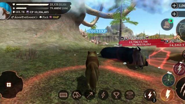 The Wolf- Tiger Champion 🏆 смотреть онлайн