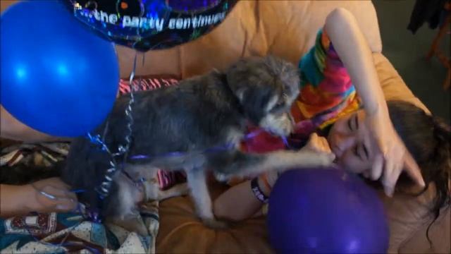 UNO Jr. & The Balloons смотреть онлайн