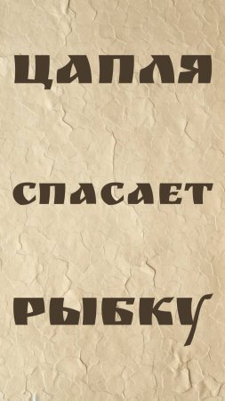 Цапля спасает рыбку