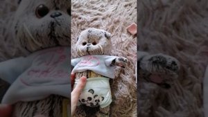 день с Басиками!!
