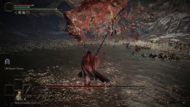 Malenia vs Bloody Helice [NG+7, NO HIT, SOLO] - elden ring смотреть онлайн