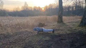Четвёртый день движения к целям и саморазвития