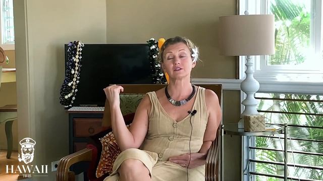 Адвокат на Гавайях. Сколько стоит. ИММИГРАЦИОННЫЙ СУД США. Иммиграция в США смотреть онлайн