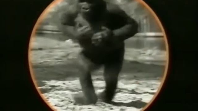 Dance Classics, volume 5 - TV Reclame (1988)
