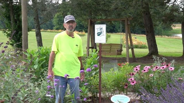 UT Gardens, Crossville- Weekly Walk through the Garden: Butterfly Gardens смотреть онлайн