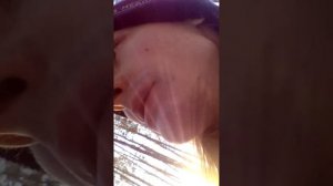 Следы Рябчика. Охота на Рябчика с пневматической винтовкой мр 512