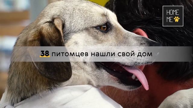 Кратко о результатах первого Home Me Fest. смотреть онлайн