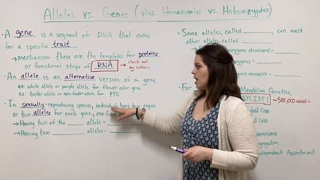 Alleles Vs. Genes (What Is An Allele? Plus HOMOZYGOTE Vs. HETEROZYGOTE)
