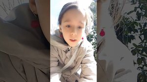 как приручить голубя