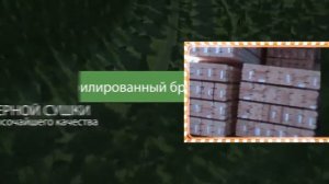 ЛАГСИБЛЕС