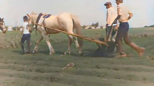 color-document_5427282973449811653