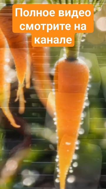Оранжевый убийца или спаситель? Что творит морковь?! #морковь #морковка #морковныйсок смотреть онлайн