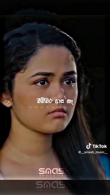 #love #goldenretriever #dogs #movie #dog #film #dogsrule #doglover смотреть онлайн