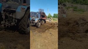 МТЗ-82 и прицеп от КАМАЗа, чистим навоз