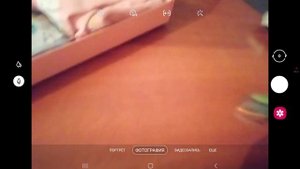 голубь из блоп топ оцените в комментах от 1 до 10