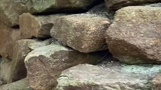 BEST TOURIST ATTRACTIONS  HOLDEN ARBORETUM  202 STEPS  12 STORY  The Life Of Filipina Wife In US