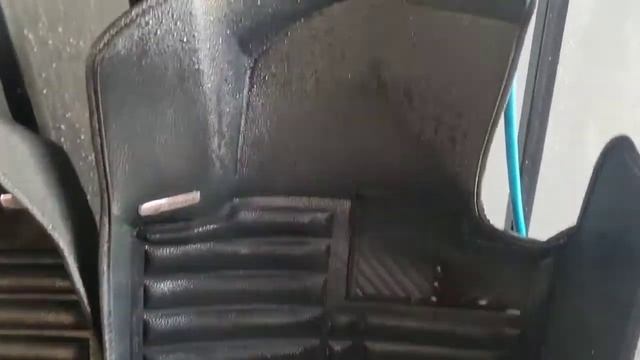 Генеральне прибирання  авто з килимками Skopa