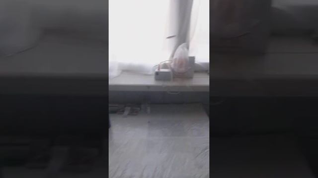 Рахбарлар илтимос ердам берилар.Красногорск шифохонасига.6 ФЕВРАЛЬДА Вазирлика хат берган эдим леки смотреть онлайн