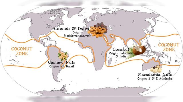 The IMPOSSIBLE PalaeoBar? смотреть онлайн