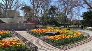 Севастополь 17 апреля 2025