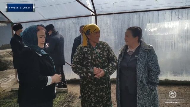 Қизилтепада “Аёллар дафтари” ва “Ёшлар дафтари”га фуқаролар муаммолари ўрганилди смотреть онлайн