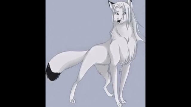 Обожаю аниме волков смотреть онлайн