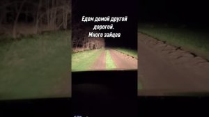 ЕДЕМ К ТЕЩЕ В ГОСТИ НОЧЬЮ ПО КУБАНСКИМ ПОЛЯМ, ГОРОДСКИМ НЕ ПОНЯТЬ!  #жизньвдеревне #кубань #russian