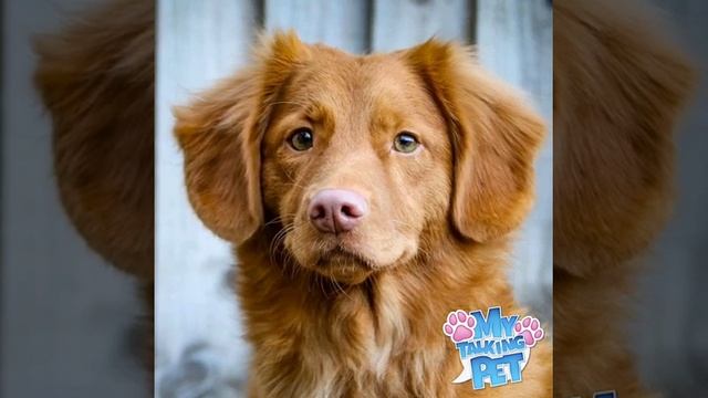 21 января 2022 г. смотреть онлайн