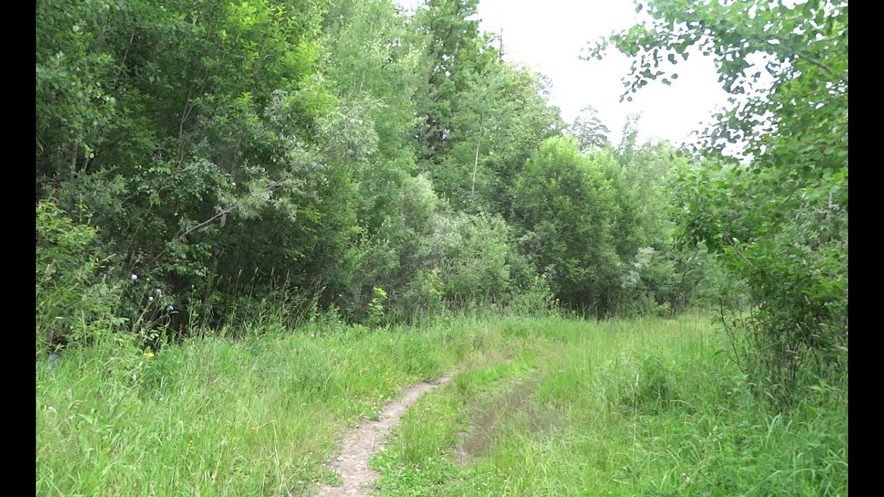 КРАСИВЫЕ ПЕЙЗАЖИ. BEAUTIFUL SCENERY. Природа России.