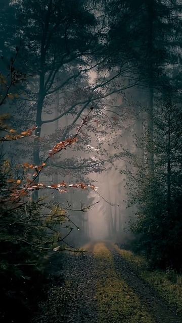 #отдыхнаприроде #релаксвидео #топыкатегорий смотреть онлайн