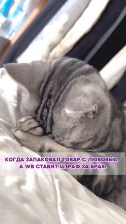 А у вас бывало такое? Делитесь фейлами в комментах!