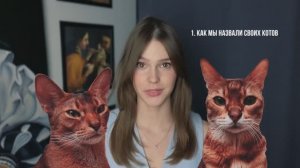 Как назвать кота-рекомендации