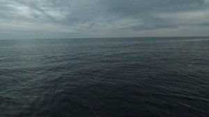 Вечерняя рыбалка на Черном море! В Крыму.