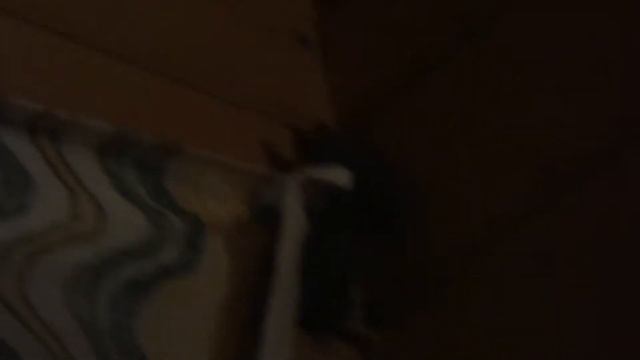 летучие мыши 2 смотреть онлайн