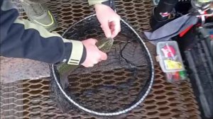 Начало рыбалки на Спорт-зоне. Лайфхак с длиной поводка. Клёвое место Лосиный остров.