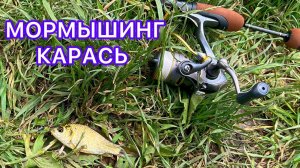 Карась на Спиннинг! Мормышинг!