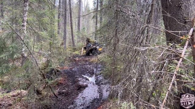 Пермь Активная 15 км 6 часов день Лебёдок квадроциклы offroad mud AODES BRP CF STELS  YAMAHA HISUN