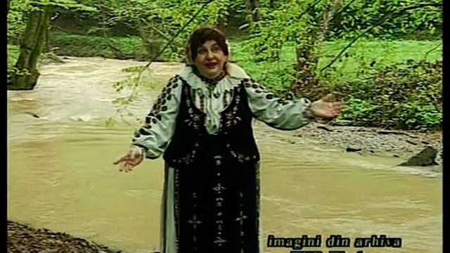 Rodica Dima-Nu stiu bago cei cu mine смотреть онлайн