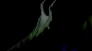 Ninos du Brasil - Condenado por un Idioma Desconhecido [OFFICIAL VIDEO](1)