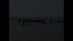 Каролина Дискобар