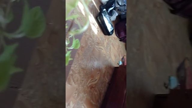 "Отзыв Агромаркет" смотреть онлайн