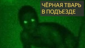 Чёрная тварь в подъезде (Мистическая история)
